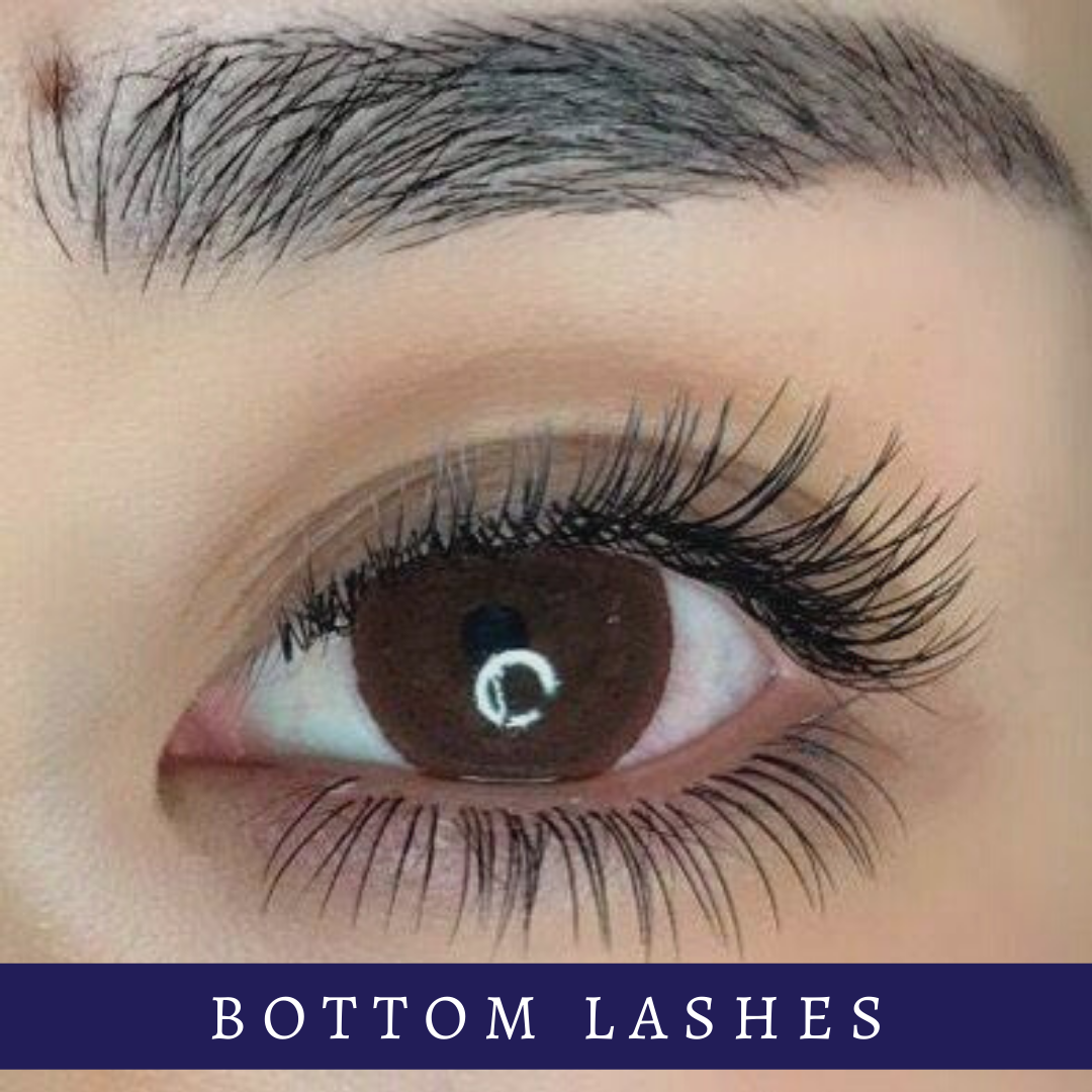 Bottom Lashes